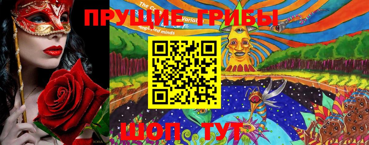 Псилоцибиновые грибы Psilocybine cubensis Вышний Волочёк
